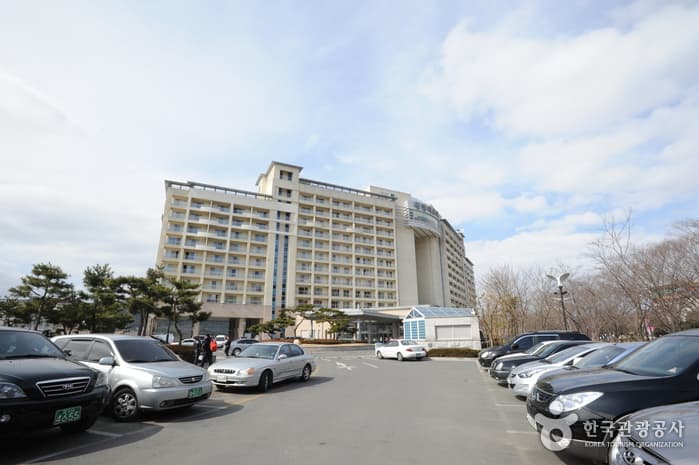 경북 경주시_대명리조트 경주_전경_1