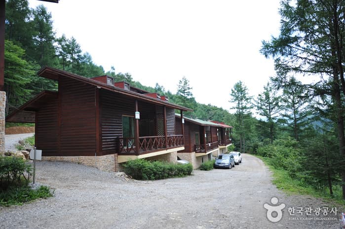 덕유산자연휴양림