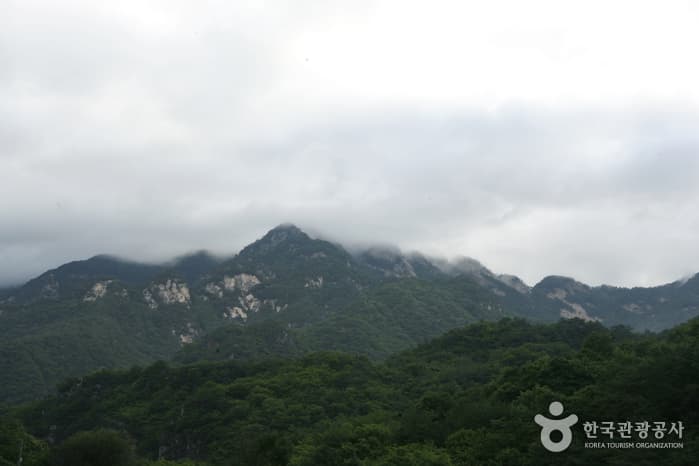 충북_충주_597번 도로 힐링드라이브 4 (월악산)