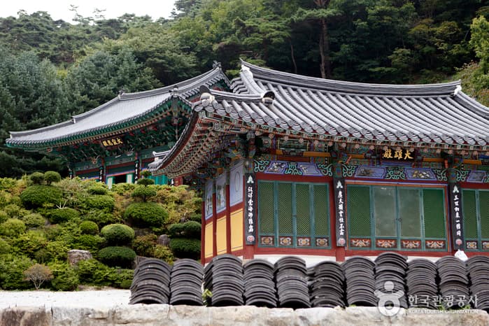 경북_영주_선비의 걸음으로 구곡의 꽃을 품다, 소백산자락길09