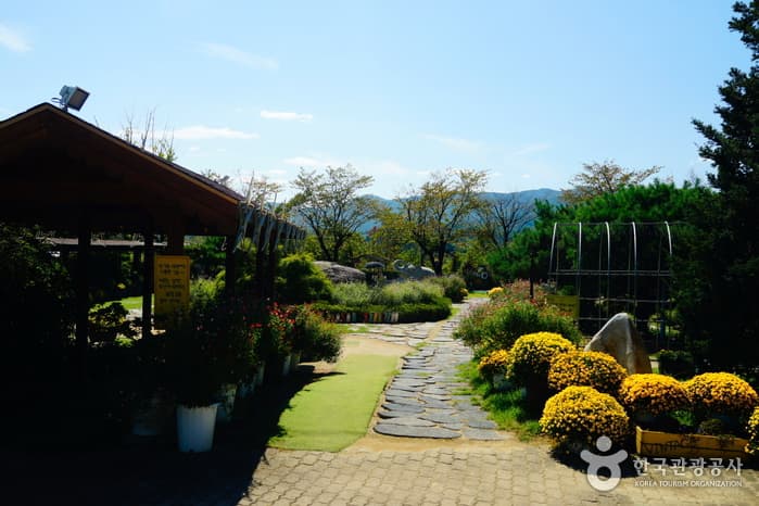 경기_양평들꽃수목원04