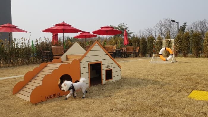 롯데프리미엄아울렛 기흥점(3)