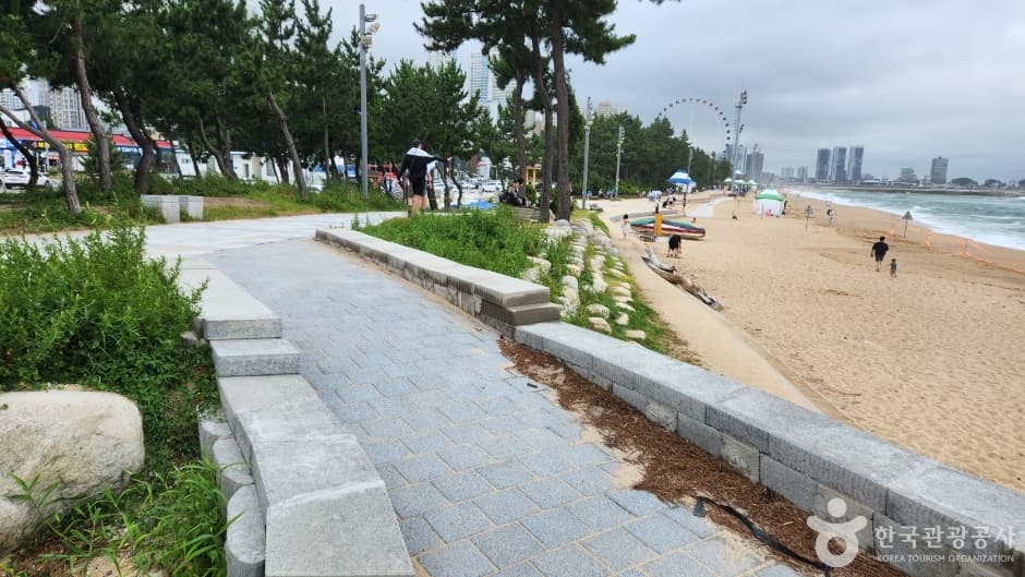 속초해수욕장_11