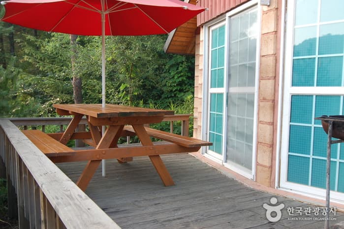 주천강강변자연휴양림_08