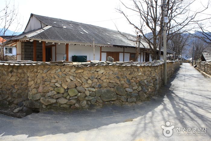 지전마을 돌담길_11