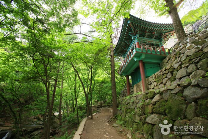 해운사_54