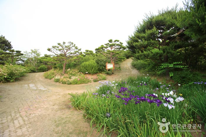 울산광역시_동구_울산테마식물수목원_031