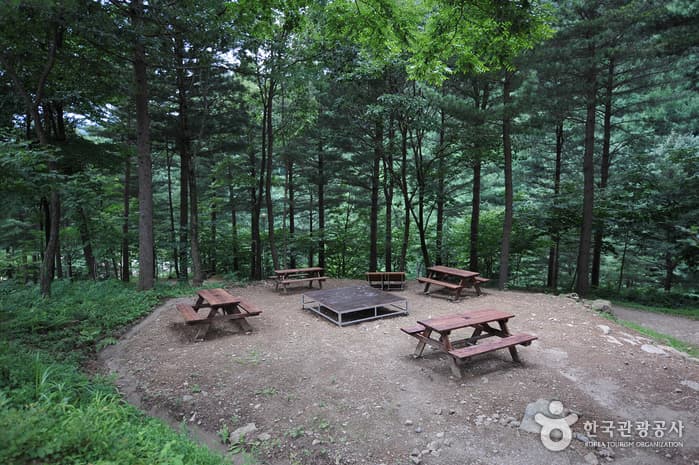 덕유산자연휴양림