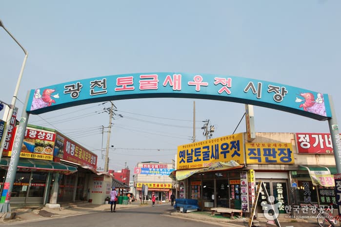 충남_서해금빛열차51