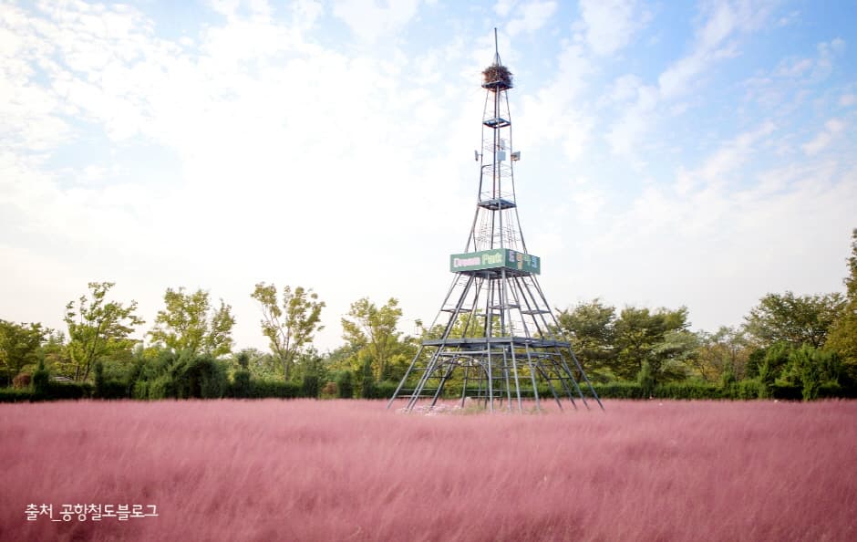 수도권 매립지 야생화단지 드림파크_3