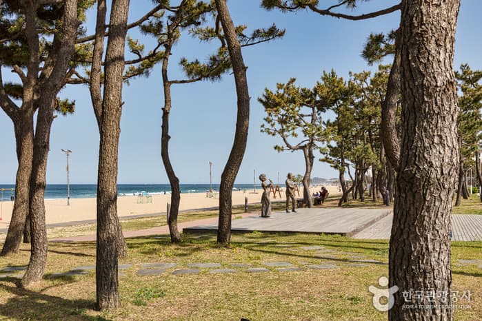 낙산 해수욕장 6