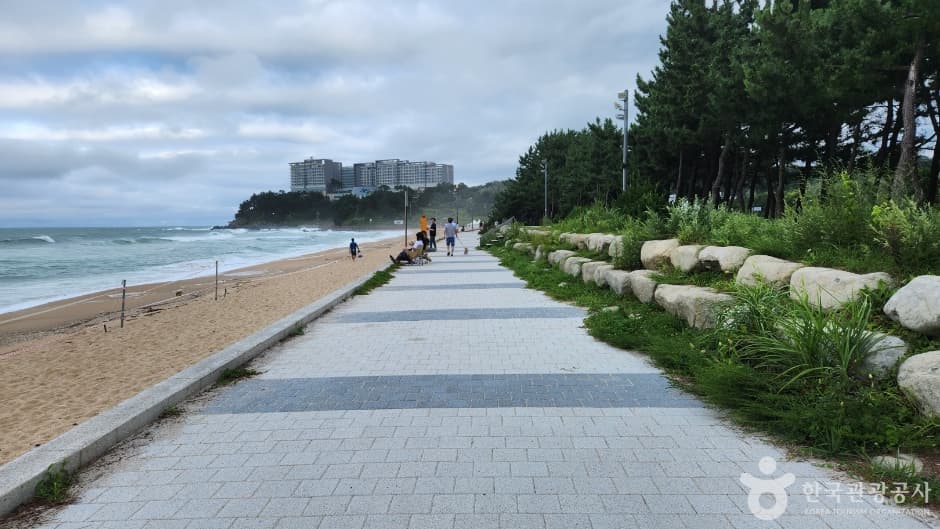 속초해수욕장_12