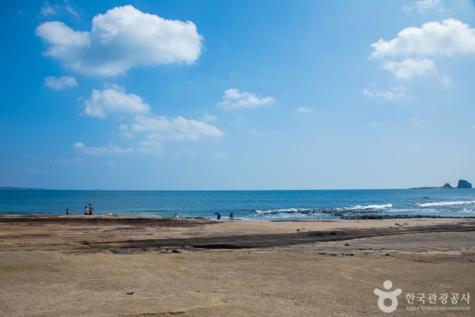 사계해변(8)