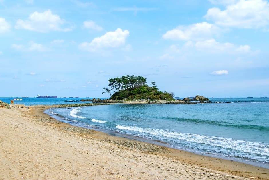 진하해수욕장 (3)