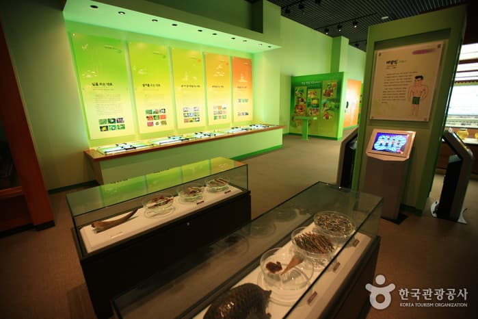 전통한방휴양관광지(산청한의학박물관)_29