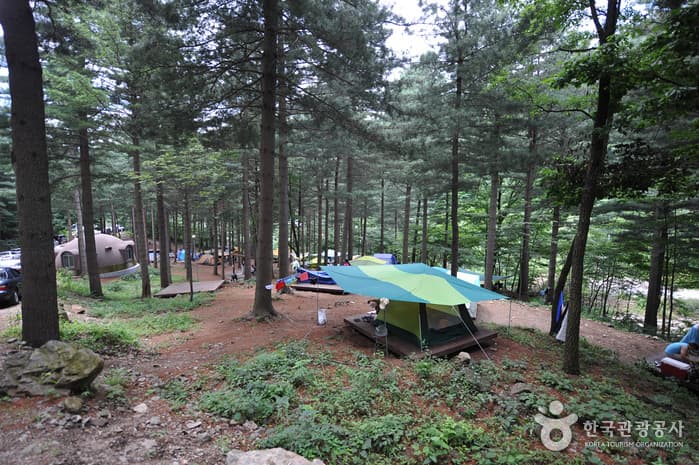 덕유산자연휴양림