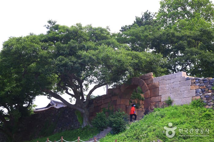 충남_홍성에서 보령까지, 안면도를 바라보며 달리는 드라이브 여행15