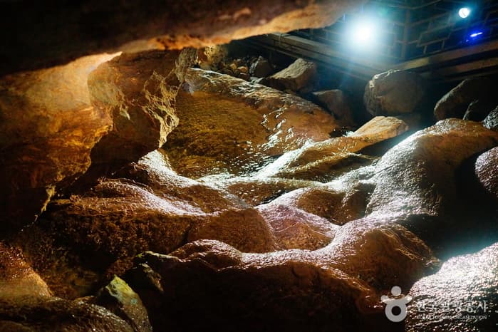 강원_삼척_신비롭고 놀라운 세상, 삼척대이리동굴지대09
