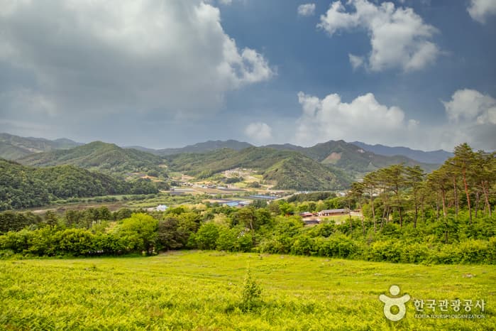 Happy Chowon Farm (해피초원목장)