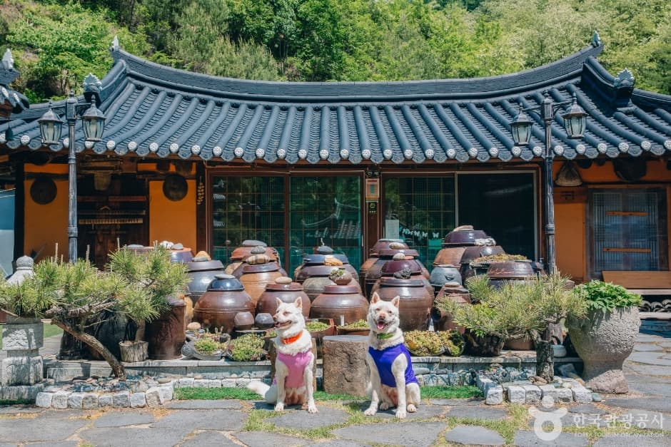 태백산 한옥팬션_전경 1