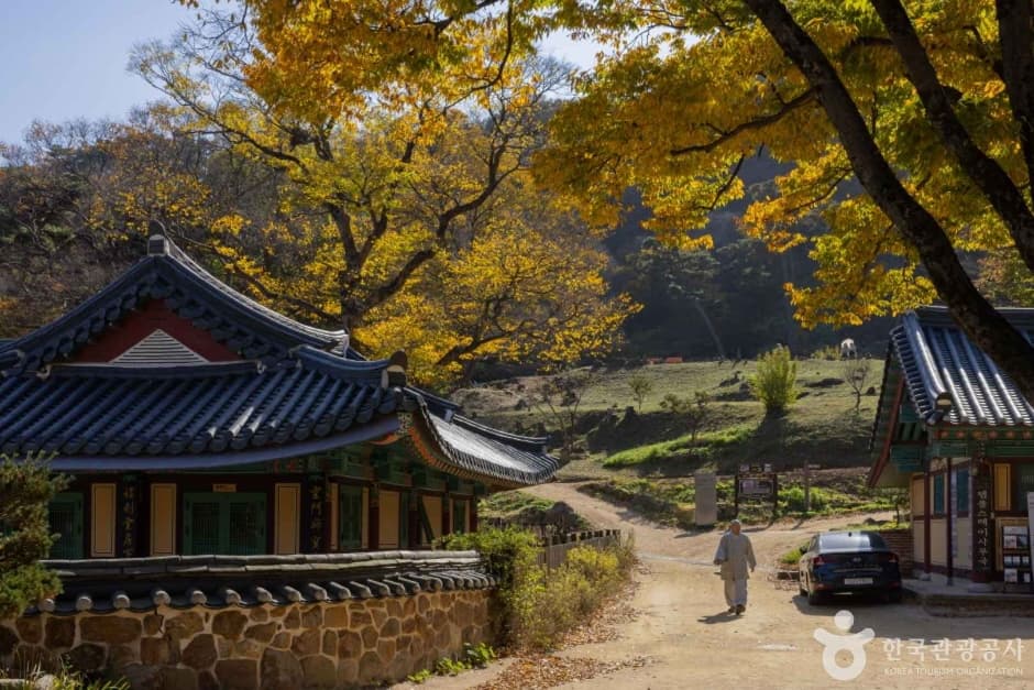 강화 전등사 (4)