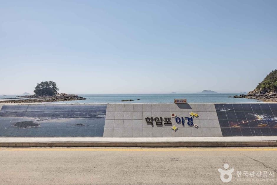 학암포해수욕장 (1)