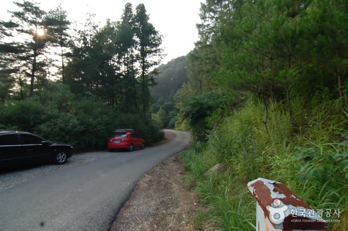 주천강강변자연휴양림_10