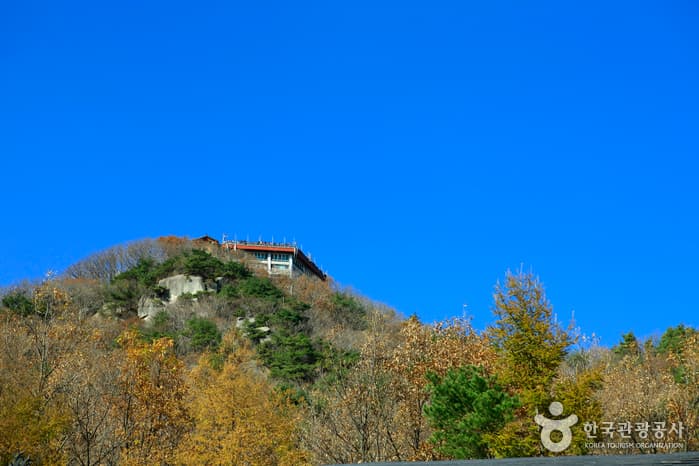 팔공산도립공원_8