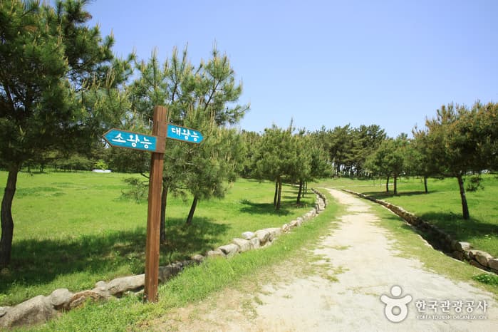 Iksan Ssangneung (익산 쌍릉)