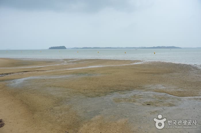 톱머리해수욕장