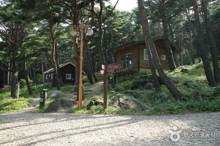 칠보산자연휴양림