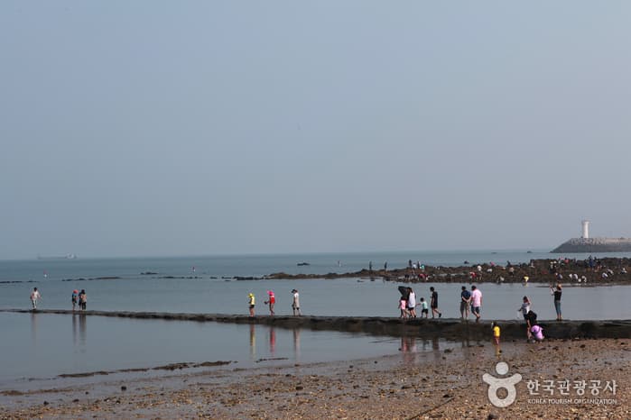 충남_보령_무창포신비의바닷길축제17