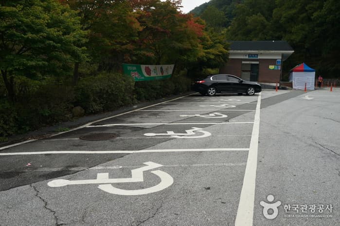 전라북도_강천사숲길01