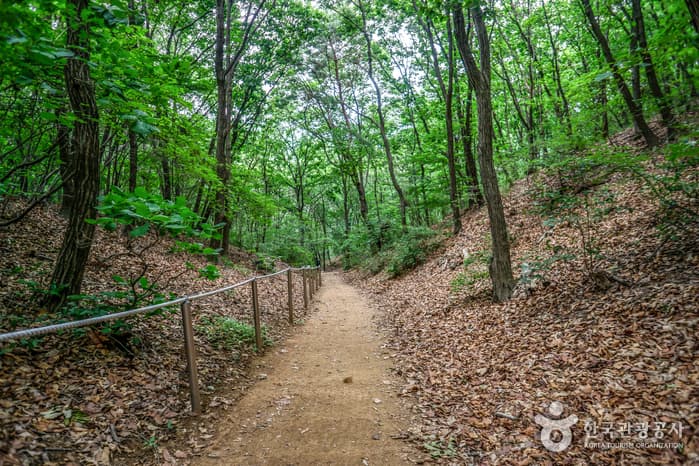 경기_수원_광교산(수원)04