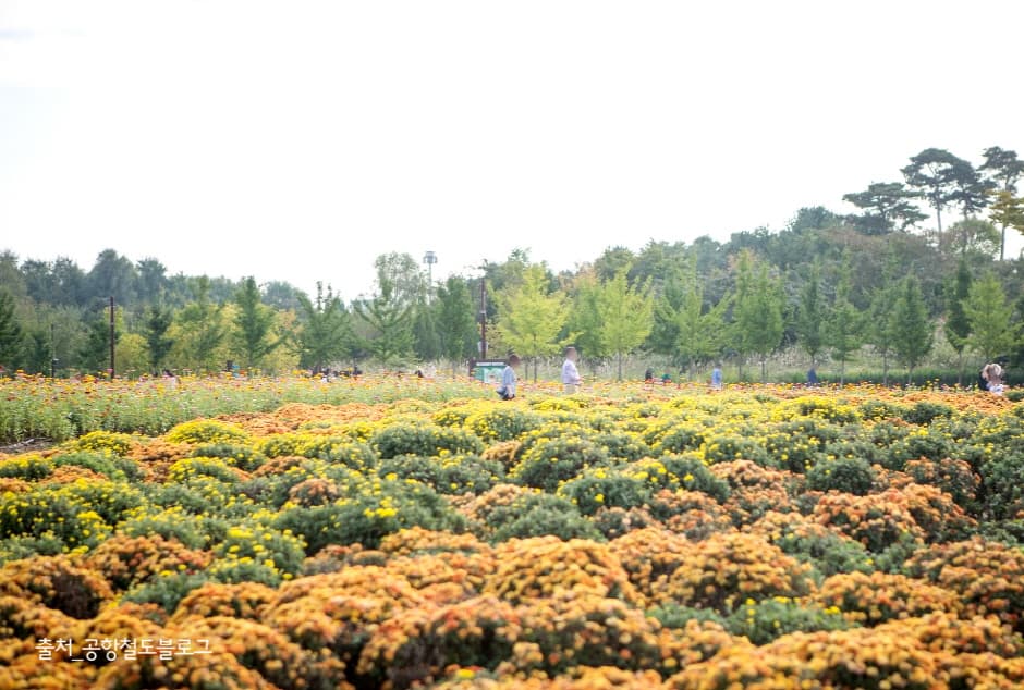 수도권 매립지 야생화단지 드림파크_5