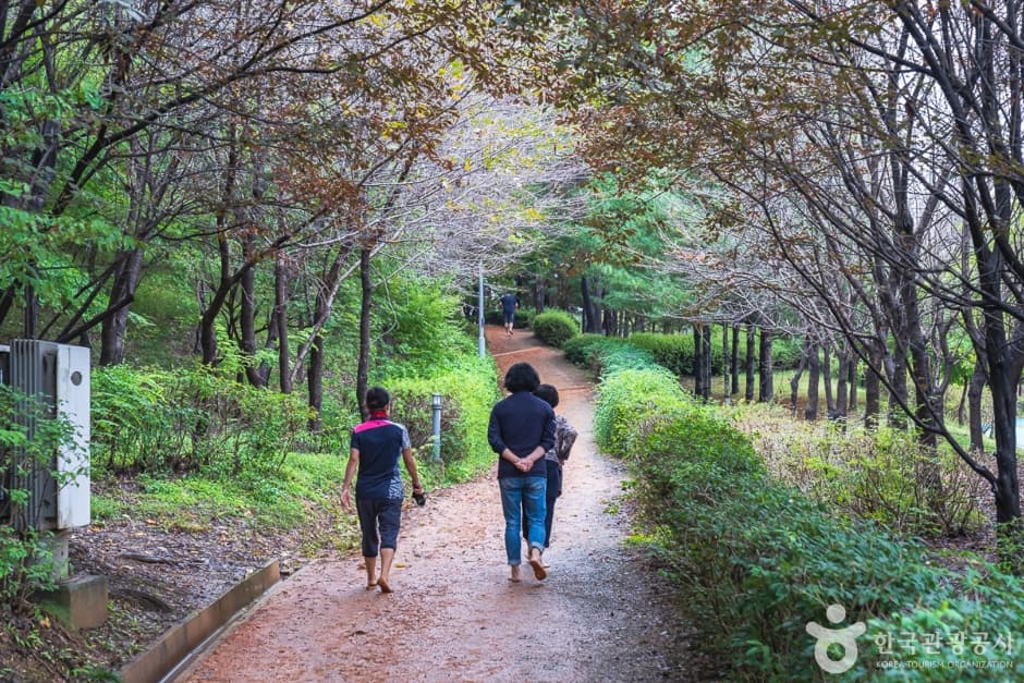 에코힐링황톳길 (13)