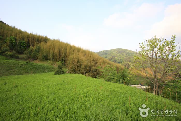 경상남도_하동군_청학동마을_023
