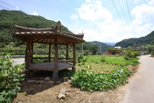 강원도_삼척시_삼척 덕풍계곡마을_016