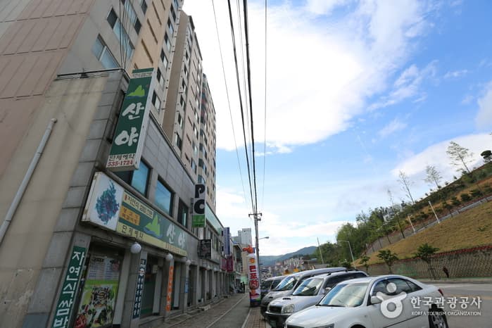 강원도_동해_산야05