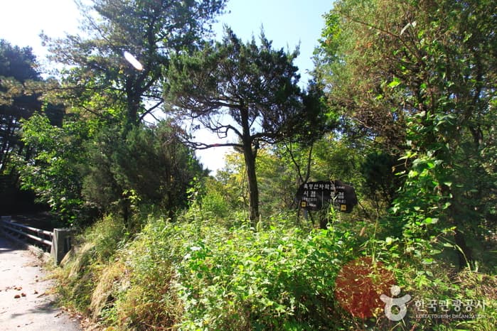 경기_남양주_축령산01