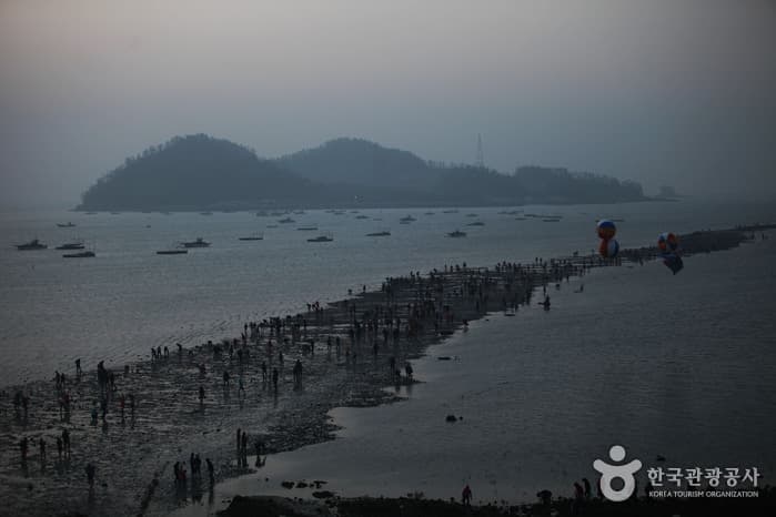 전남_진도_신비의 바닷길 축제47
