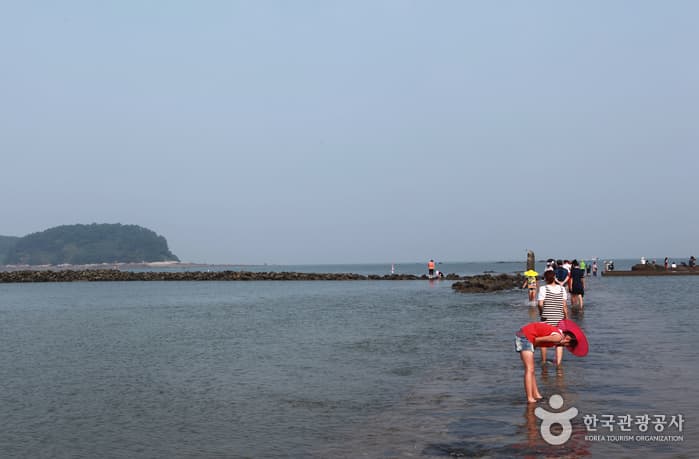 충남_보령_무창포신비의바닷길축제18