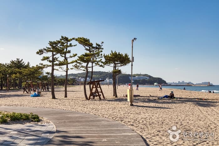 낙산 해수욕장 9