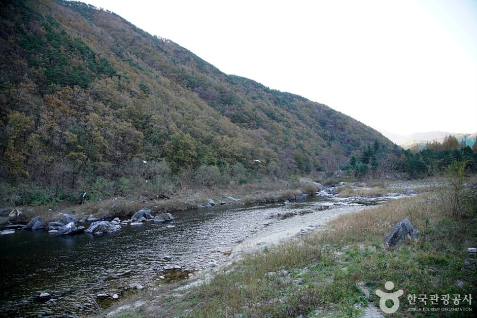 남대천(강릉) (3)