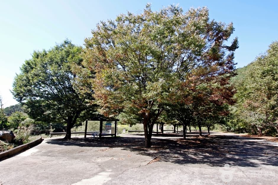 충북_보은_서원계곡 (7)