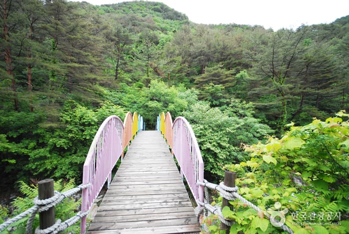 가리왕산자연휴양림_09