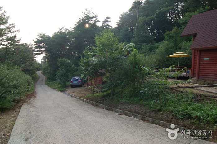 주천강강변자연휴양림_12
