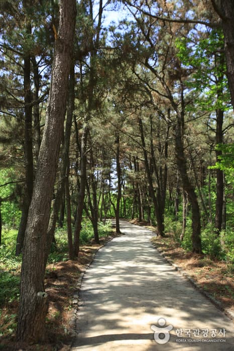 전라북도_익산시_익산 쌍릉_005