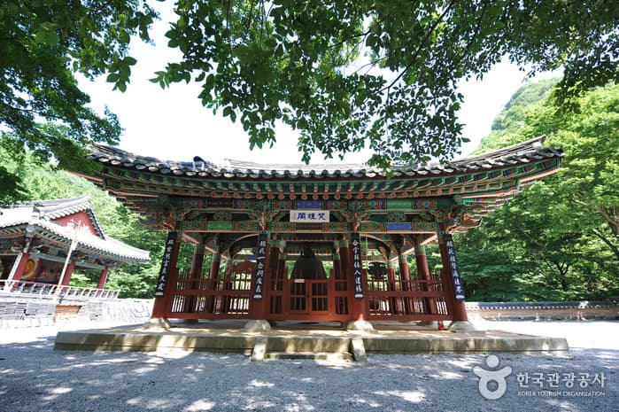 내장사