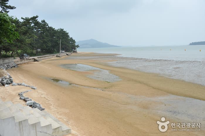 Tommeori Beach (톱머리 해수욕장)